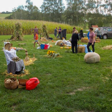 17. Bučarija v Mekotnjaku