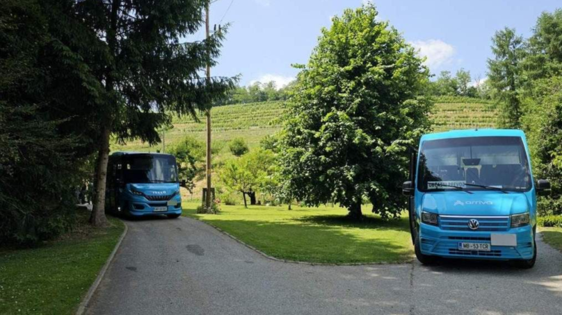 Vinobus 2026: Nepozabno vinsko doživetje po srcu Prlekije